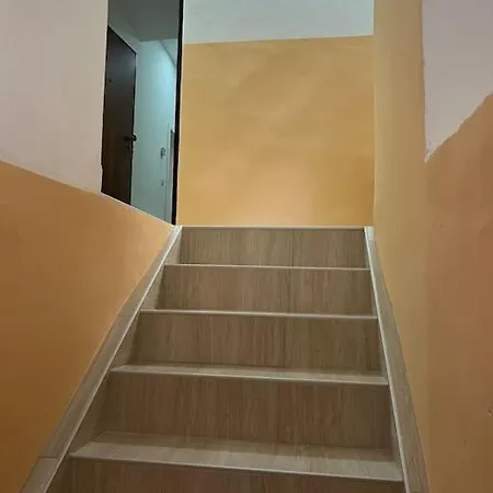 Laan